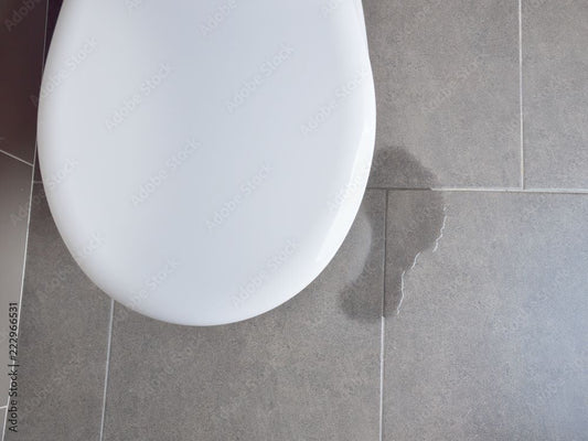 How to Check if Your Toilet is Leaking: Part 2  Can My Wax Ring Leak Even If I Don’t See Water Leaking?